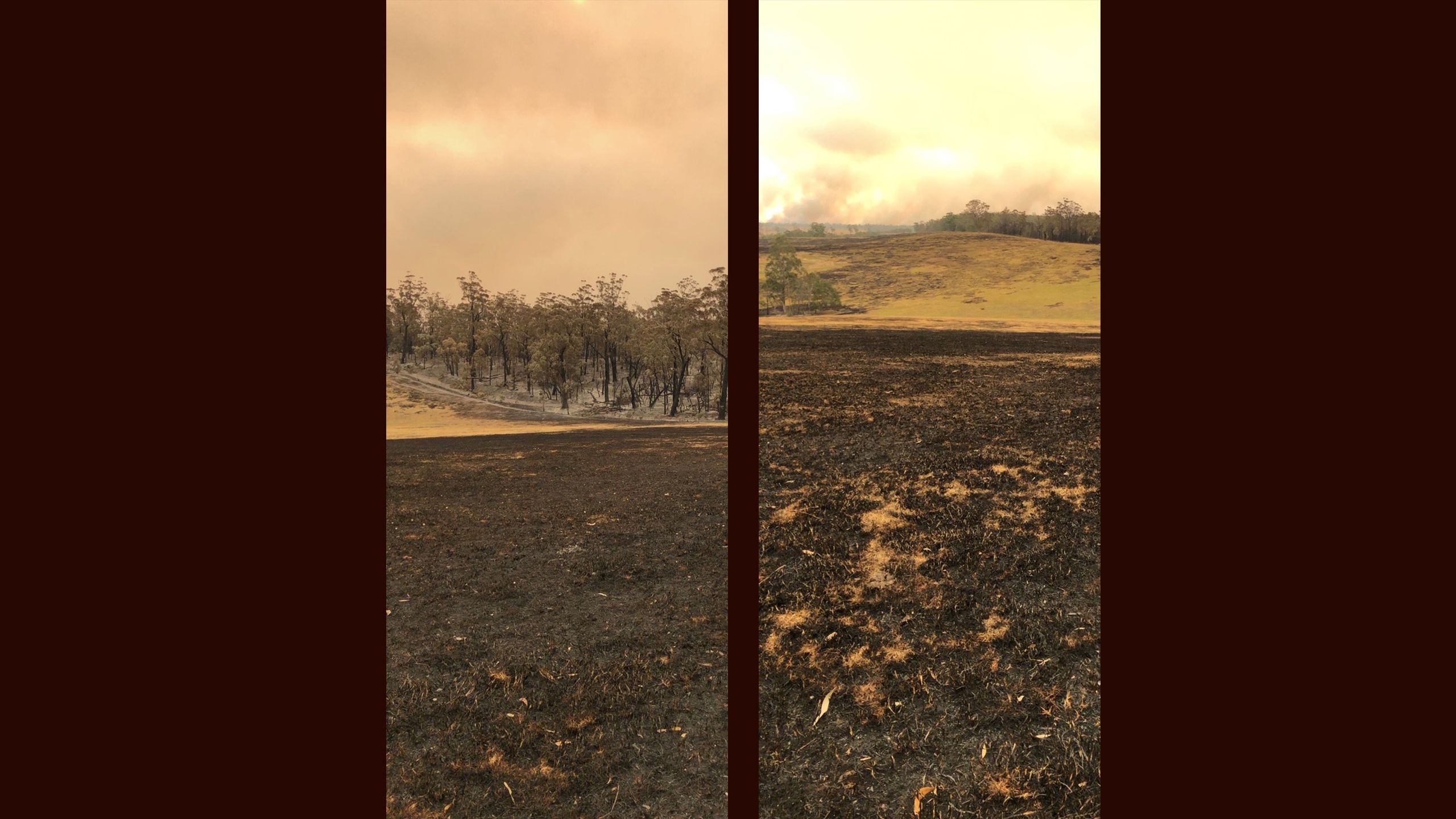Sam Osborn's parents' farm in Jarrahmond after the firestorm, 1 January 2020 