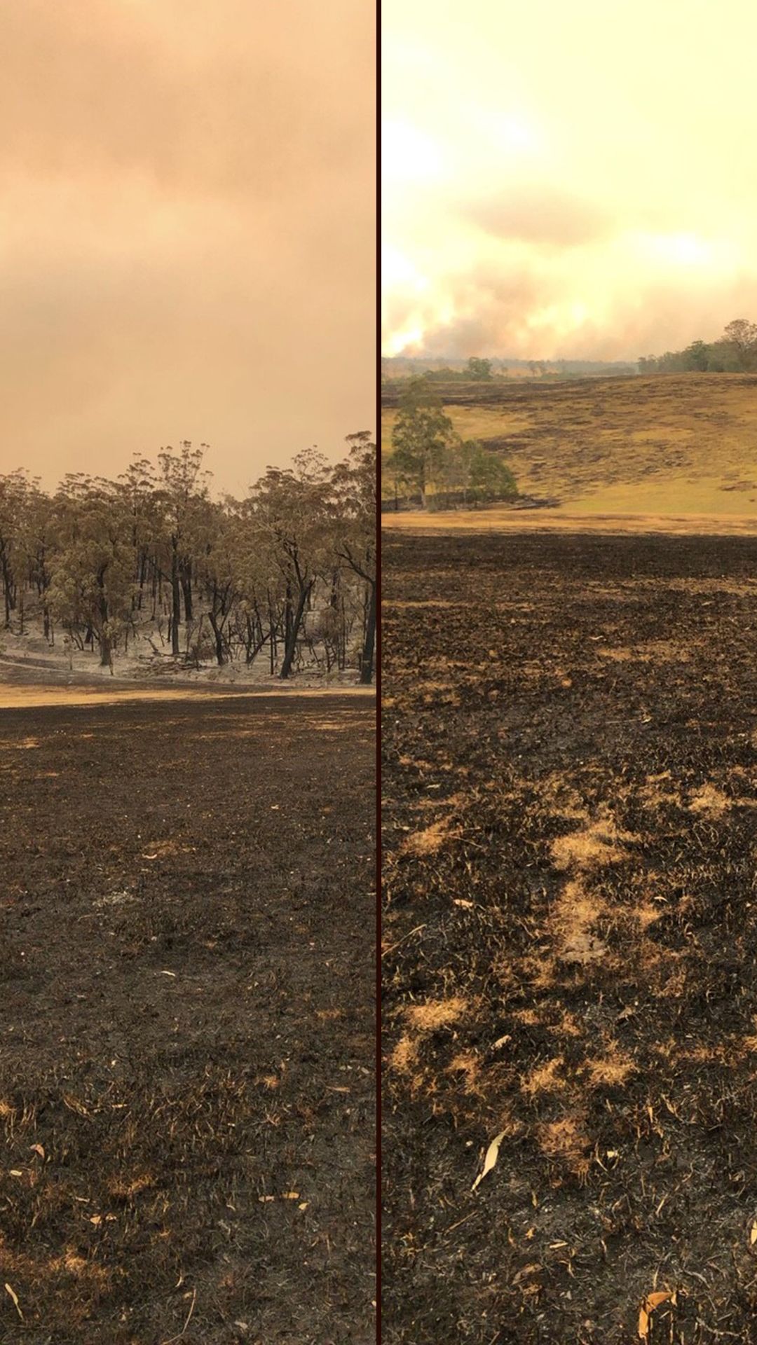 Sam Osborn's parents' farm in Jarrahmond after the firestorm, 1 January 2020 
