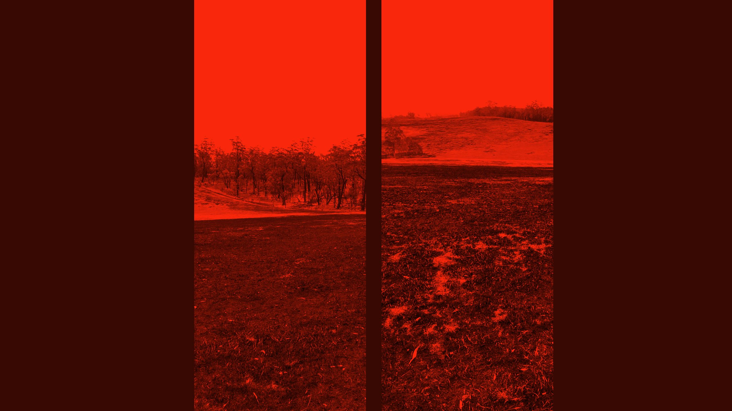 Sam Osborn's parents' farm in Jarrahmond after the firestorm, 1 January 2020