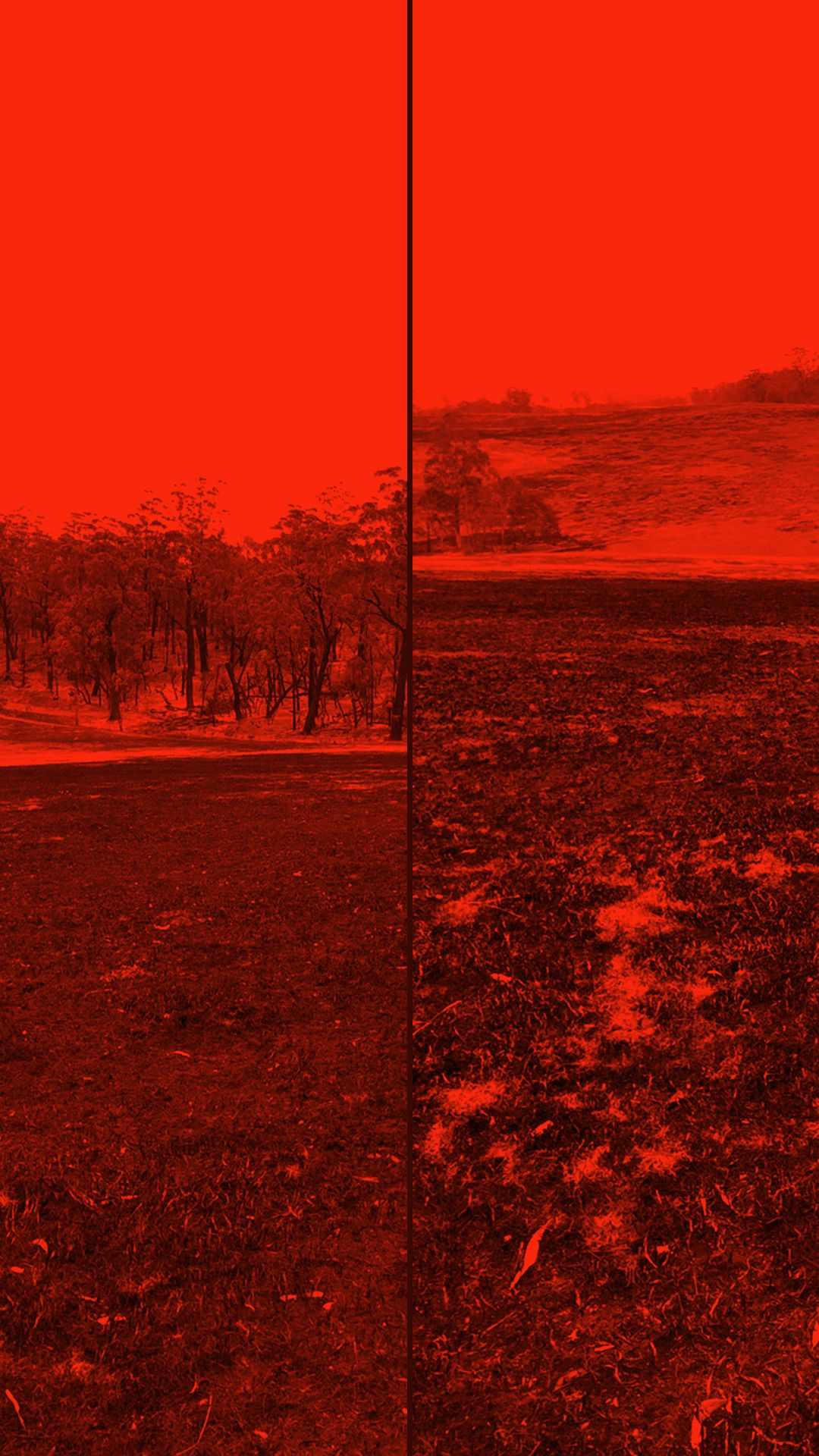 Sam Osborn's parents' farm in Jarrahmond after the firestorm, 1 January 2020