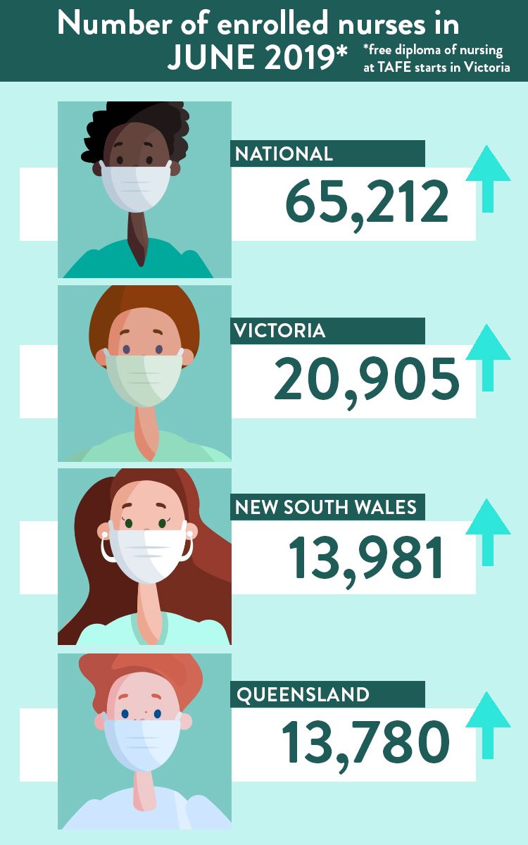 Number of enrolled nurses graphic