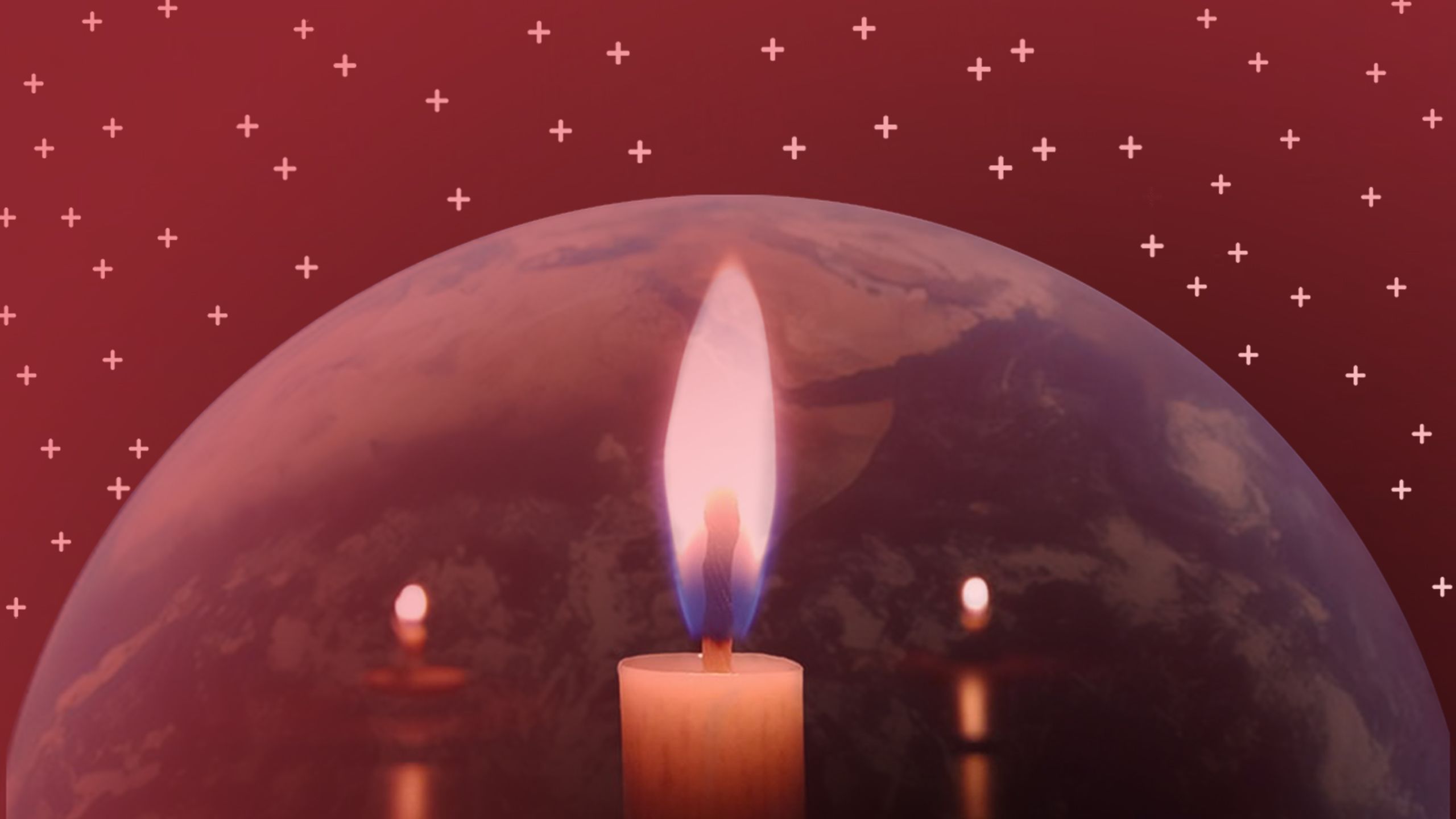 Photos by Zae Zhu and the New York Public Library on Unsplash 2020